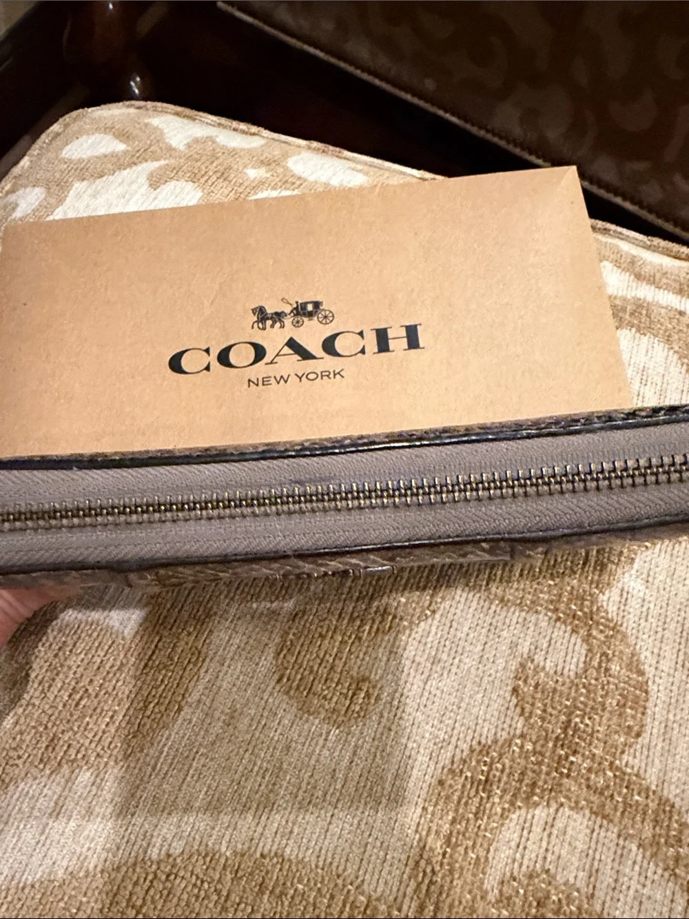 Coach Snake-Print Zip Wallet in Gray and Black Tones - lavender interior 💜